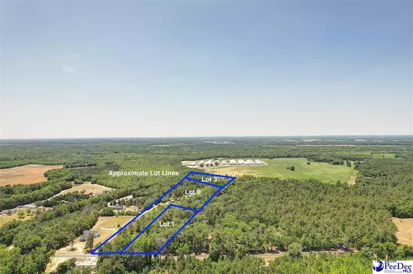 1132 W Lynches River Road, Lamar, SC 29069-9271