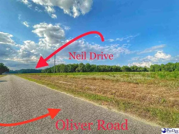 Hamer, SC 29547,Lot 4 Oliver Road