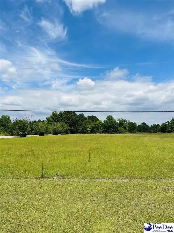 Effingham, SC 29541,TBD Stagecoach Rd