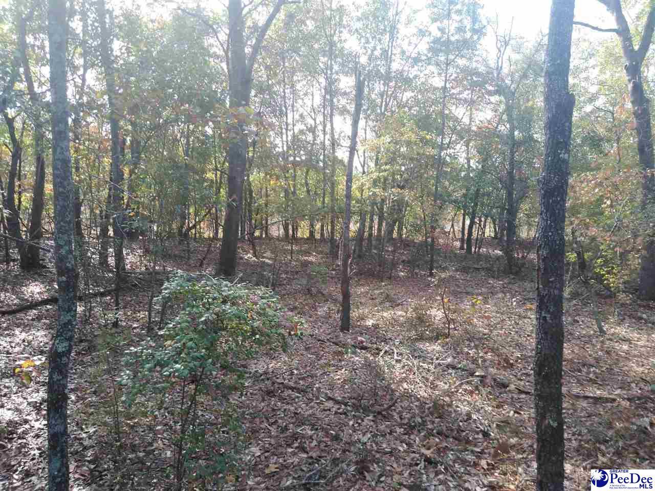 TBD Hyland Lane, Mcbee, SC 29110