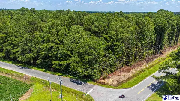 Lake City, SC 29560,TBD St HWY 59