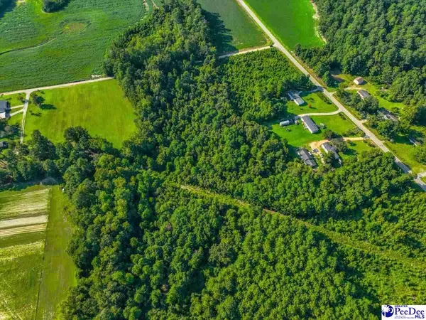 Mullins, SC 29574,TBD Runabout Road, Lot 10