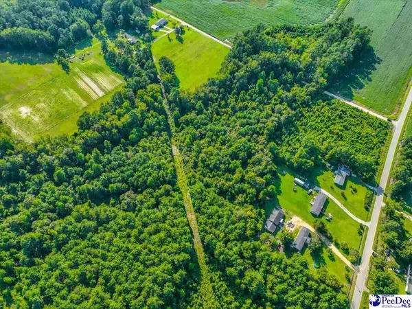 Mullins, SC 29574,TBD Runabout Road, Lot 10