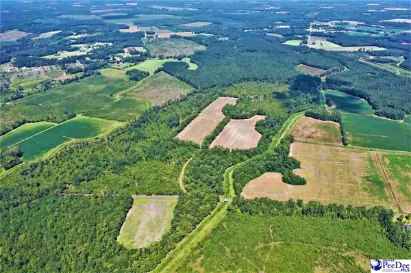 Scranton, SC 29591-5995,TBD Old Manning and Trifalia