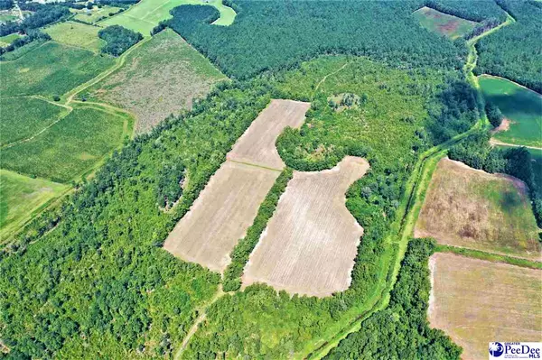 Scranton, SC 29591-5995,TBD Old Manning and Trifalia