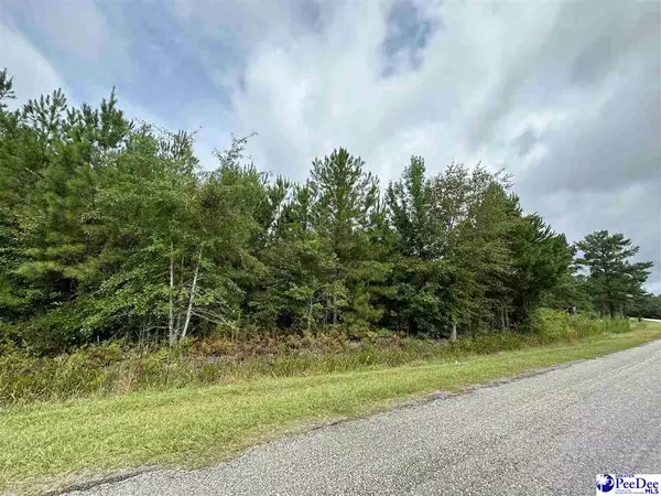 TBD American Ave, Turbeville, SC 29162