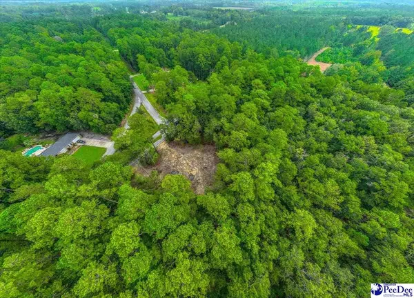 Quinby, SC 29506,87 Kings Rd