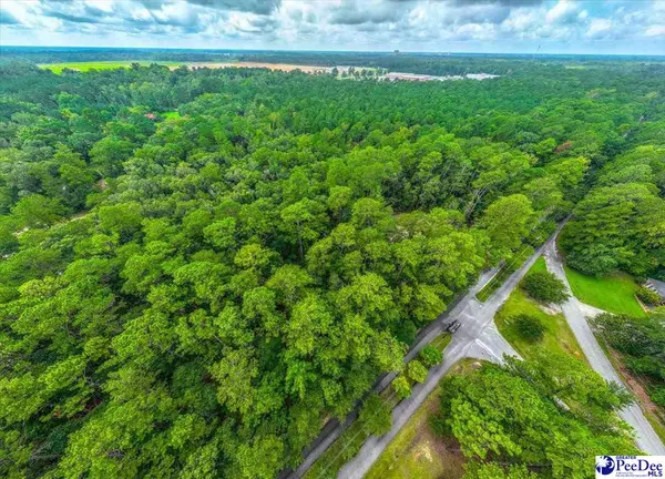 Quinby, SC 29506,87 Kings Rd