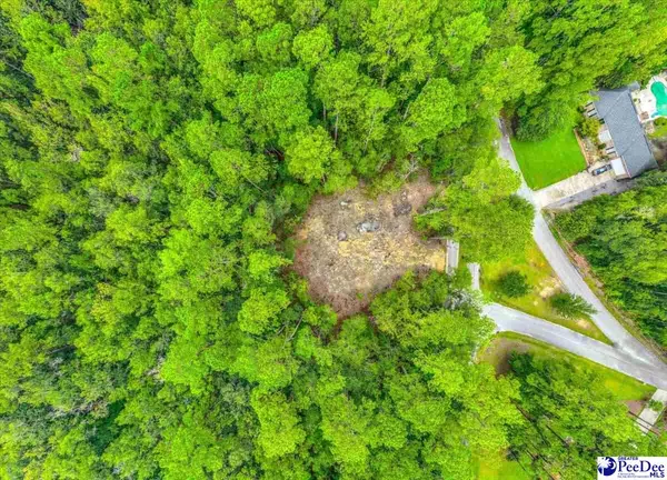 Quinby, SC 29506,89 Kings Rd.