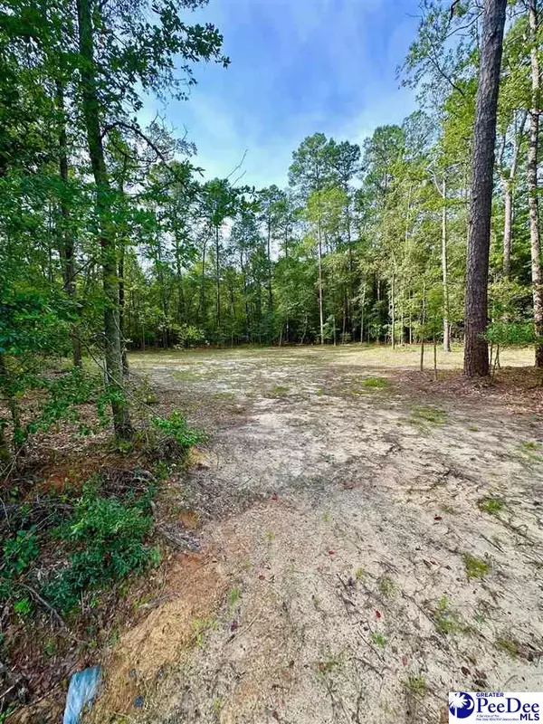 Quinby, SC 29506,89 Kings Rd.