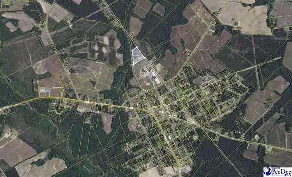 Pamplico, SC 29583,201 7th Avenue