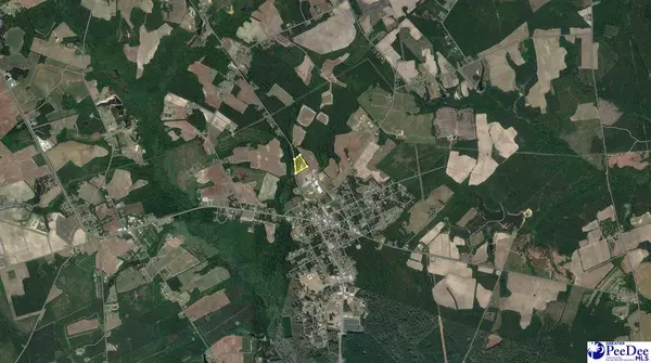 Pamplico, SC 29583,201 7th Avenue