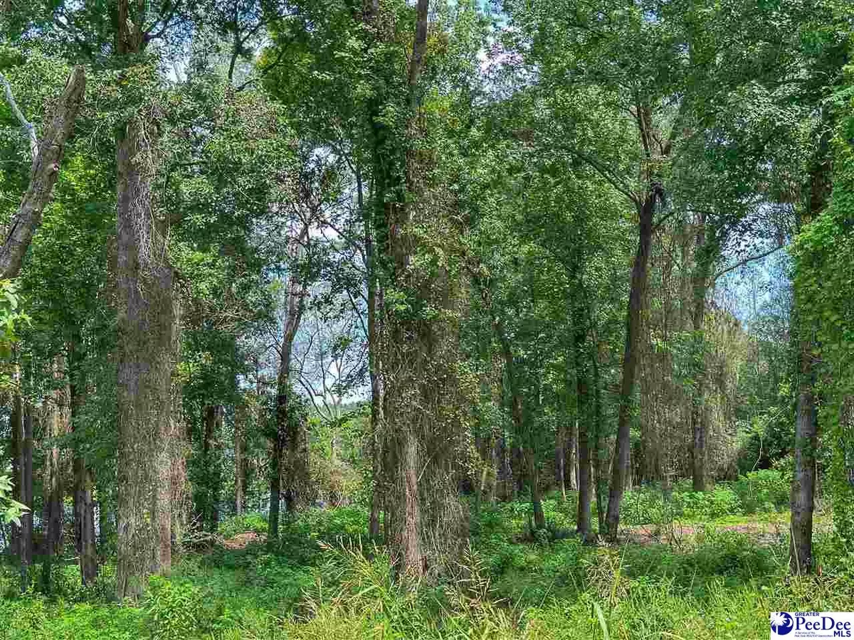 Dillon, SC 29536,Lot 53 & 54 McLaurin Lake Circle