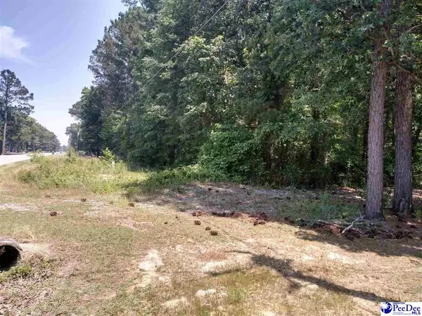 000 Pineview Road (Lot 53), Bennettsville, SC 29512