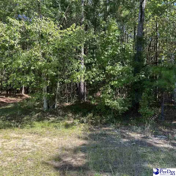 1921 Una Road (Lot #12), Lamar, SC 29069