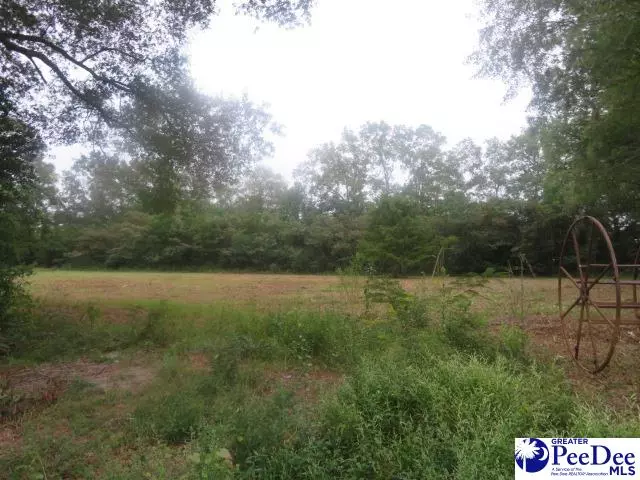 Lots 146 & 147 Norwood Ave, Hartsville, SC 29550