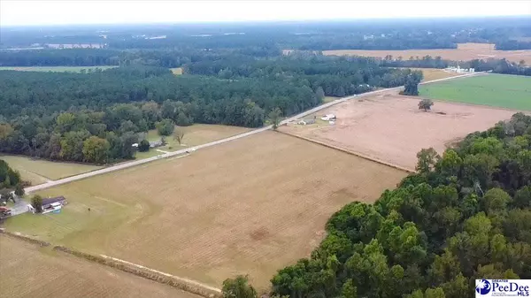 Scranton, SC 29591,TBD N Bethel Rd Hwy 403