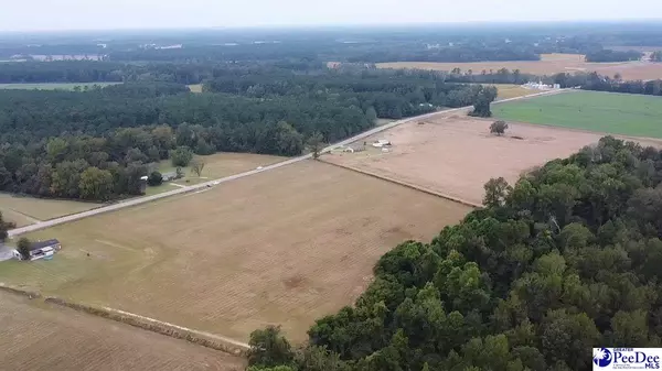 Scranton, SC 29591,TBD N Bethel Rd Hwy 403