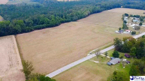 Scranton, SC 29591,TBD N Bethel Rd Hwy 403