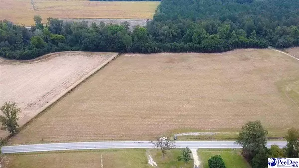 Scranton, SC 29591,TBD N Bethel Rd Hwy 403