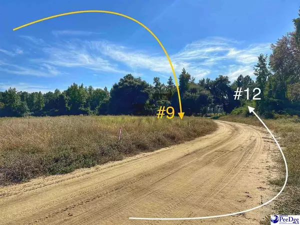 Lot 9 Neil Drive, Hamer, SC 29547