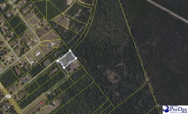 Kingstree, SC 29556,88 Ellis loop