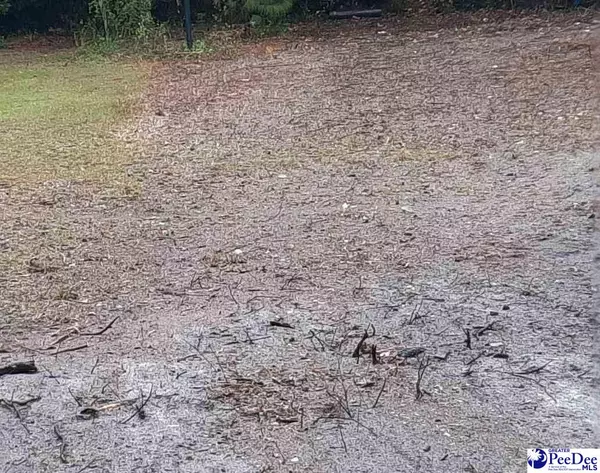 Kingstree, SC 29556,88 Ellis loop