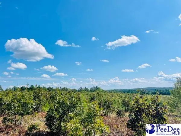 Wallace, SC 29596,Gun-O-Field Rd