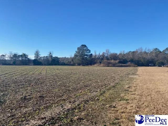 Tract 2 TBD Morgans Lane, Hartsville, SC 29550