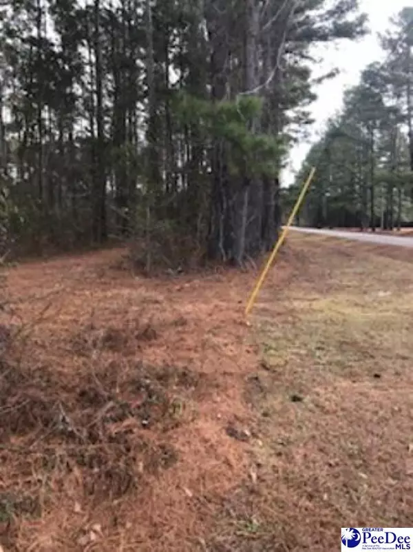 Timmonsville, SC 29161,Lot 2 Stonewall Plantation and Twin Church Rd