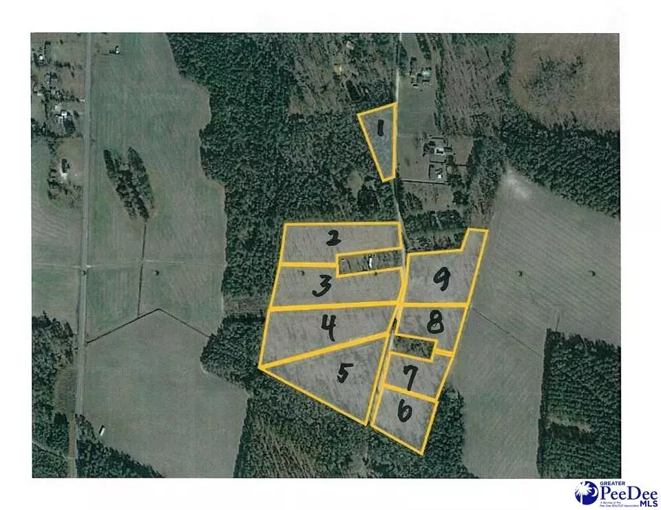 Darlington, SC 29532,lot 8 Log Cabin Rd.