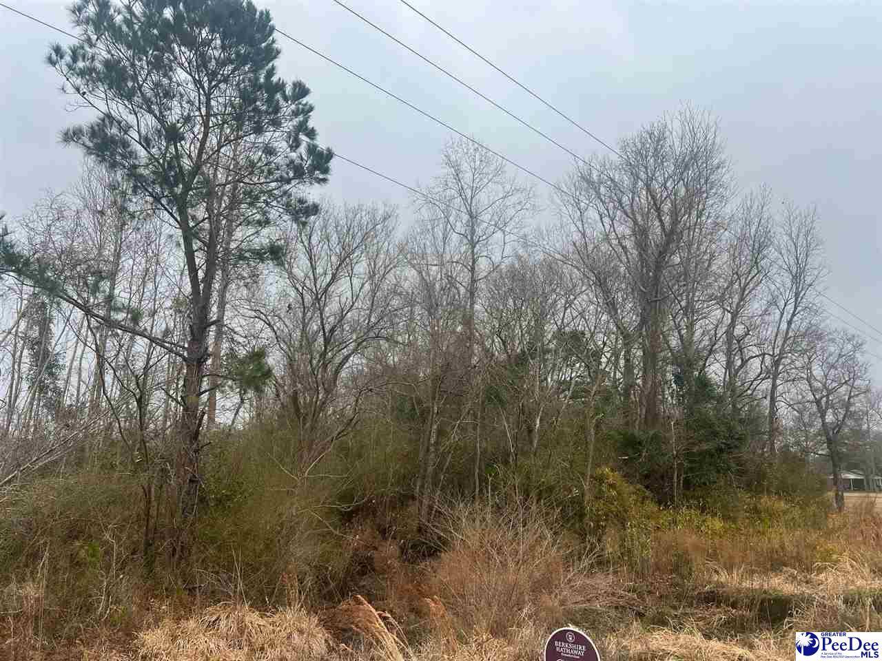 22XX Hwy 9 W, Longs, SC 29568