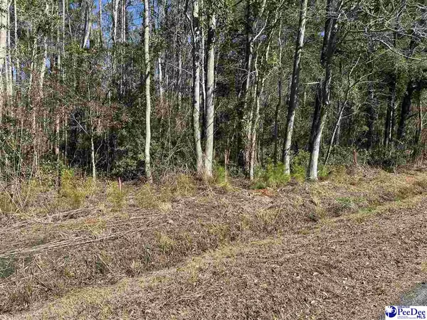 Conway, SC 29526,Lot 1 ac Hwy 1124