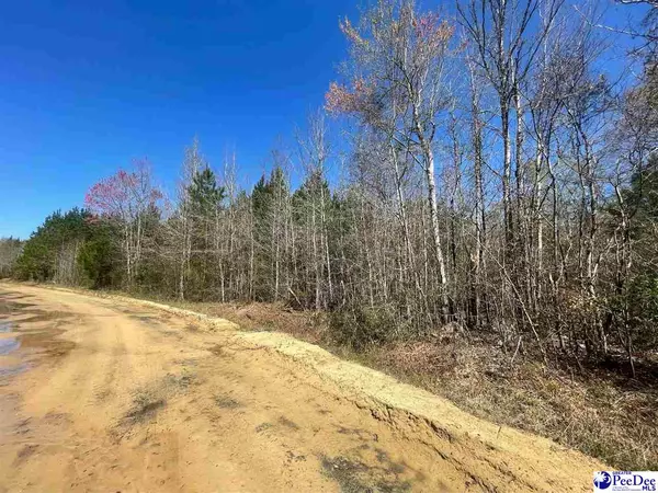 Johnsonville, SC 29555,TBD New Pine Road