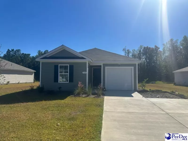 768 Planters Moon Drive (Sullivans A Lot 203), Galivants Ferry, SC 29588