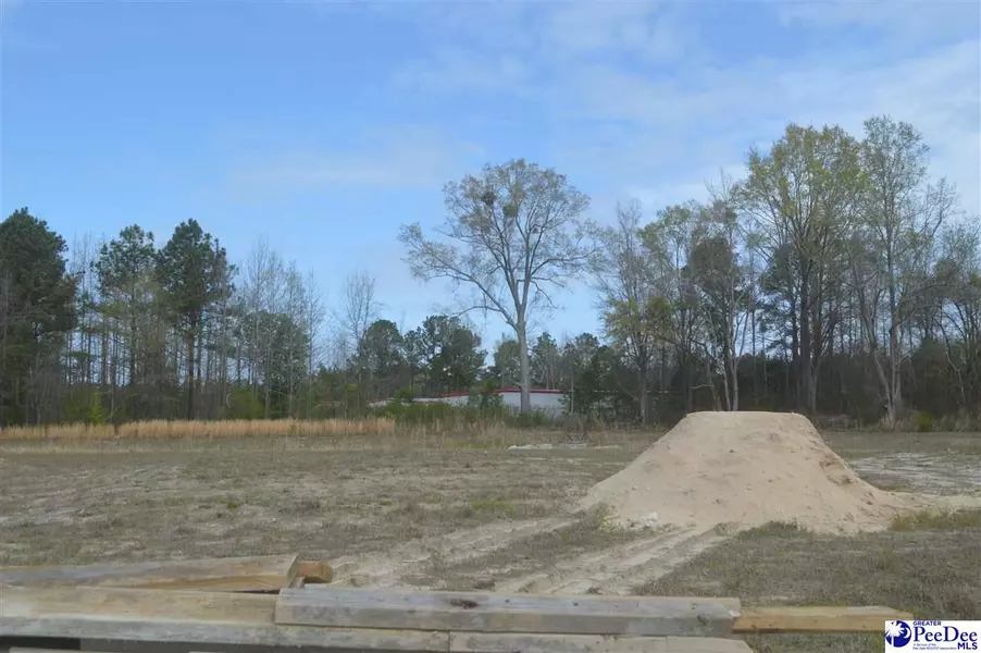 1236 Egrets Point, Hartsville, SC 29550