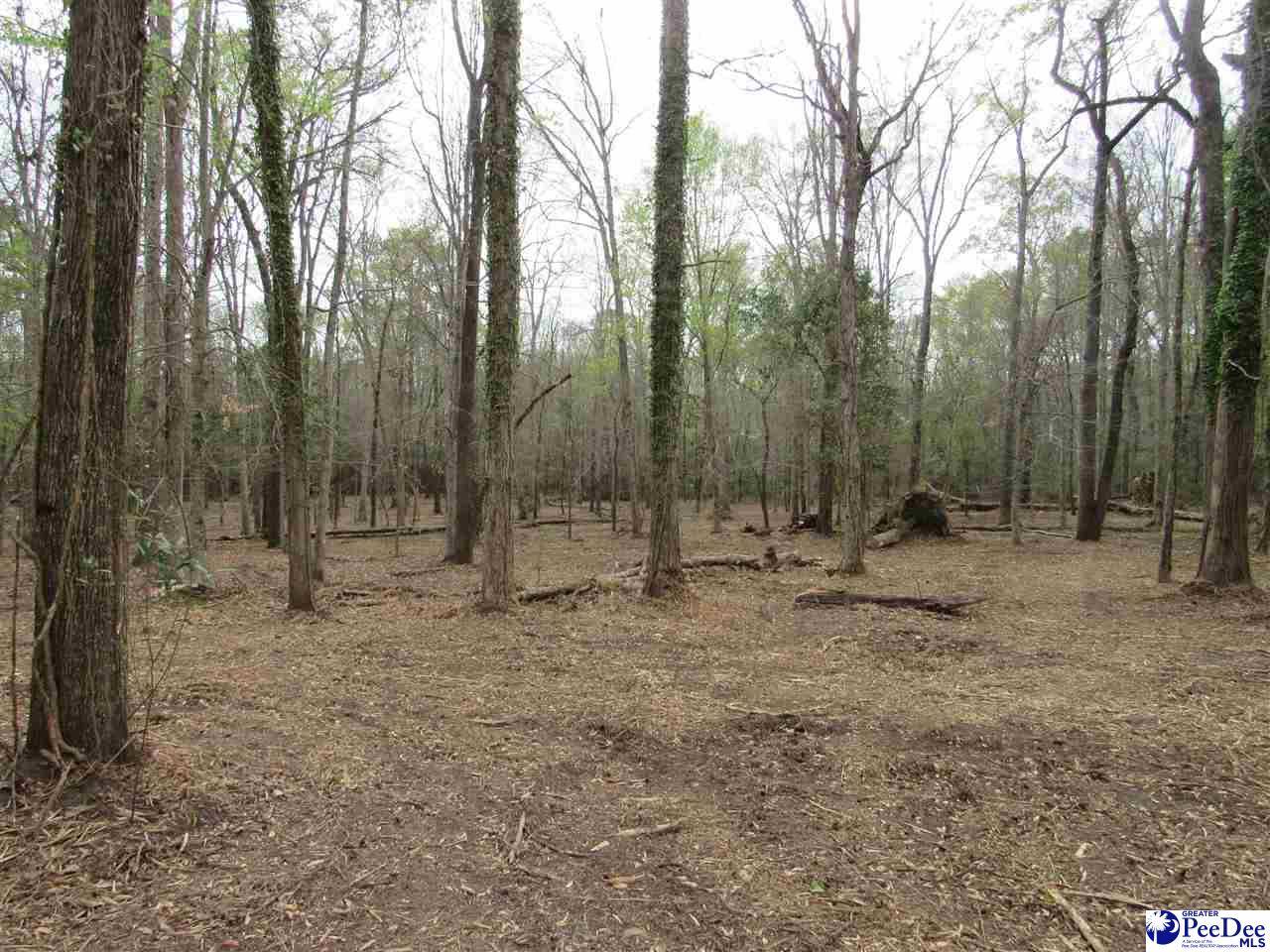 Florence, SC 29501,6009 (31) Laurel Lane