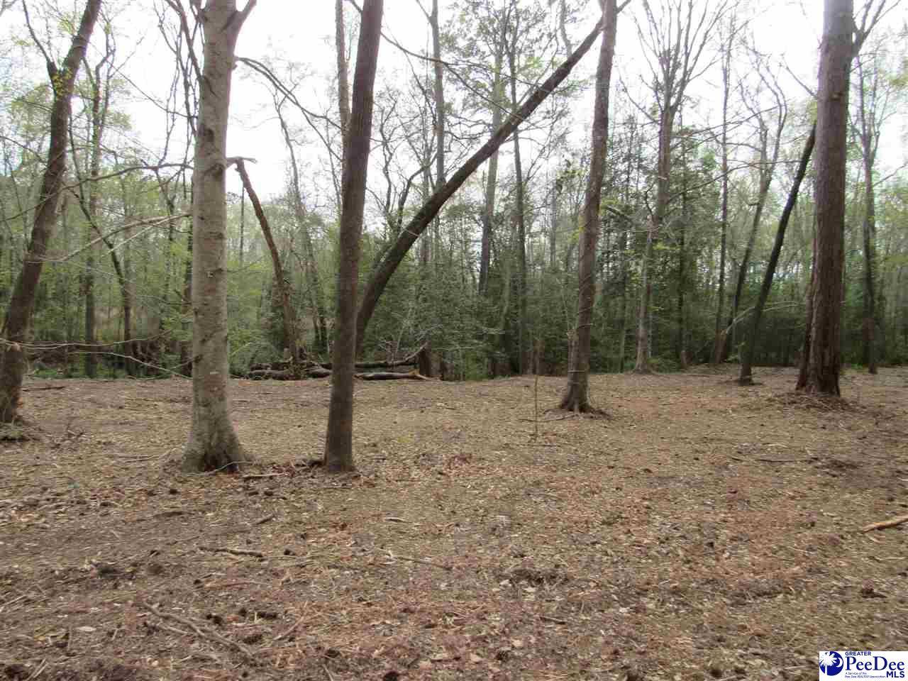Florence, SC 29501,6009 (31) Laurel Lane