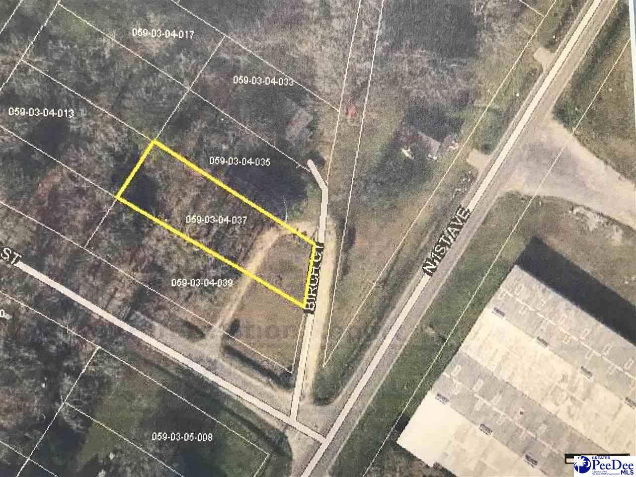 Dillon, SC 29536,Birch Court