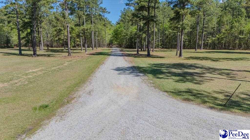 Effingham, SC 29541-3179,1315 Hill Harrell Road