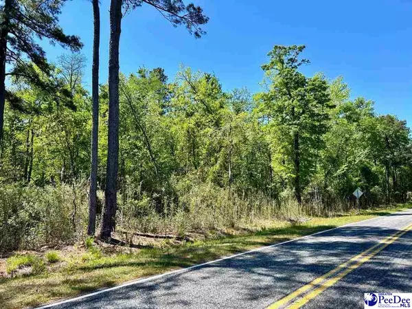 Mullins, SC 29574,Hamp Rd.