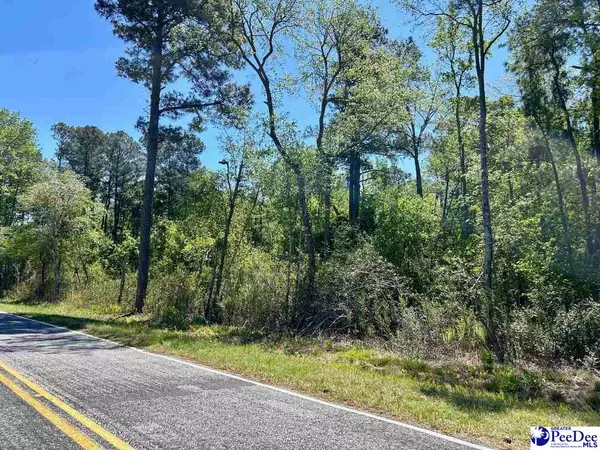 Mullins, SC 29574,Hamp Rd.