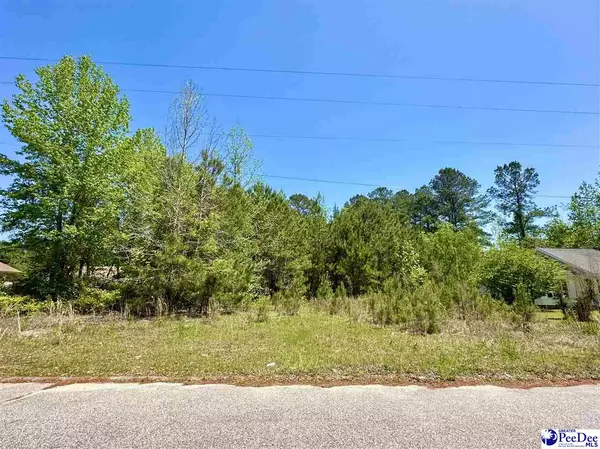 Lot 11-CC Tara Dr, Florence, SC 29505