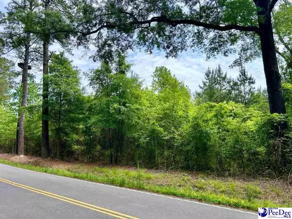 Marion, SC 29571-0000,Heatherwood Rd.