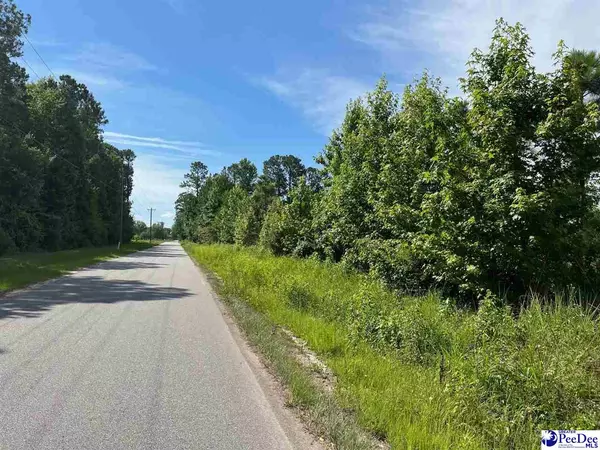 Timmonsville, SC 29161,TBD Country Lane lot 1