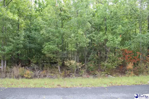 Hartsville, SC 29101,TBD lot 1 Family Road