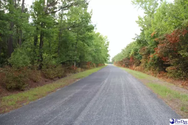 Hartsville, SC 29101,TBD lot 1 Family Road