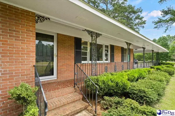 Olanta, SC 29114,317 Bingham Ave