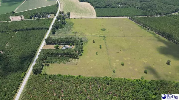 Bishopville, SC 29010-7296,TBD Ashland Stokes Bridge Rd