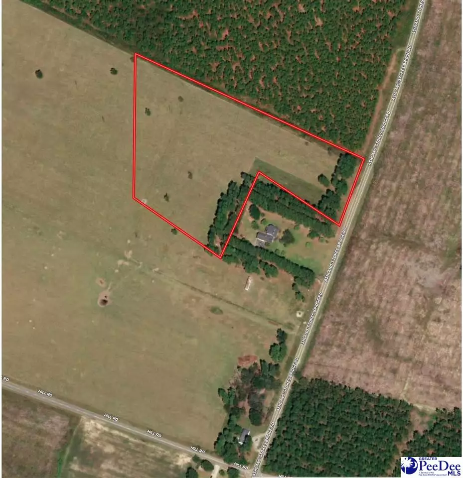 Bishopville, SC 29010-7296,TBD Ashland Stokes Bridge Rd